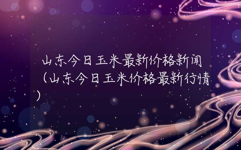 山东今日玉米最新价格新闻（山东今日玉米价格最新行情）