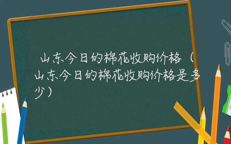 山东今日的棉花收购价格（山东今日的棉花收购价格是多少）