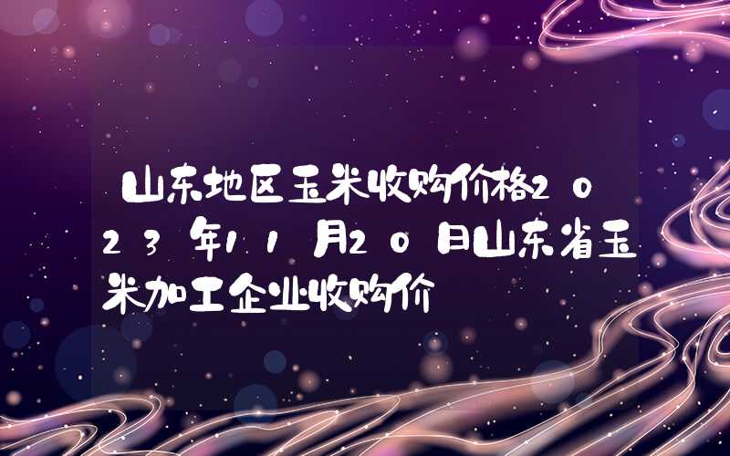 山东地区玉米收购价格2023年11月20日山东省玉米加工企业收购价