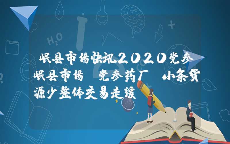 岷县市场快讯2020党参岷县市场：党参药厂、小条货源少整体交易走缓