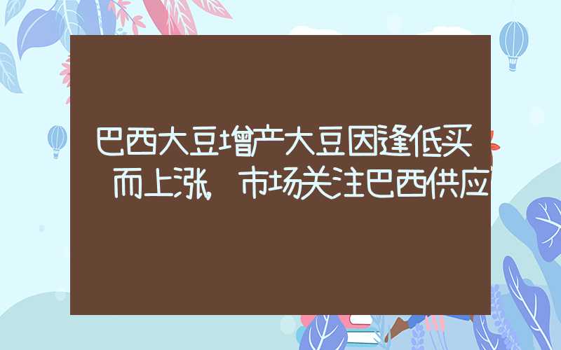 巴西大豆增产大豆因逢低买进而上涨，市场关注巴西供应