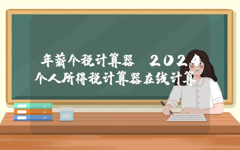 年薪个税计算器（2024个人所得税计算器在线计算）