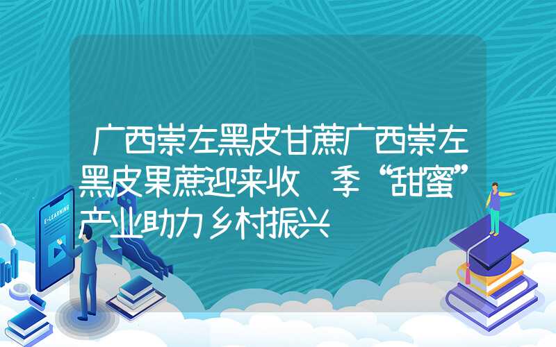 广西崇左黑皮甘蔗广西崇左黑皮果蔗迎来收获季“甜蜜”产业助力乡村振兴