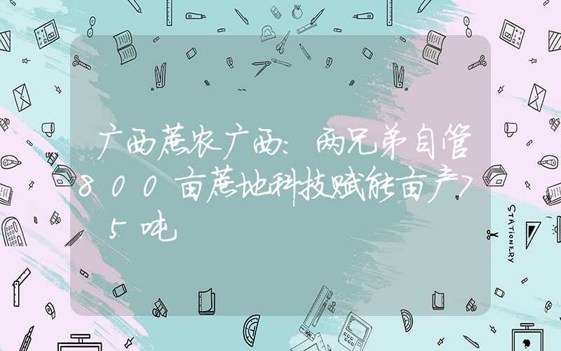 广西蔗农广西：两兄弟自管800亩蔗地科技赋能亩产7.5吨