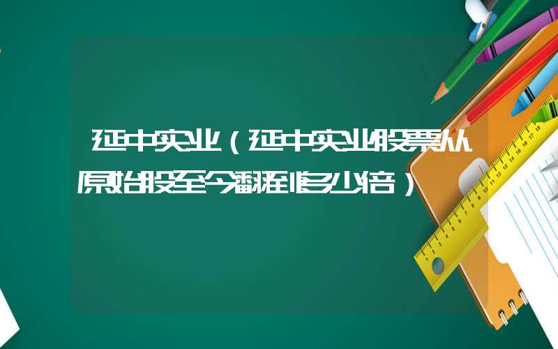 延中实业（延中实业股票从原始股至今翻到多少倍）