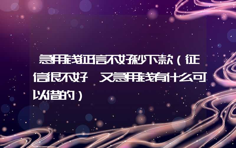 急用钱征信不好秒下款（征信很不好,又急用钱有什么可以借的）