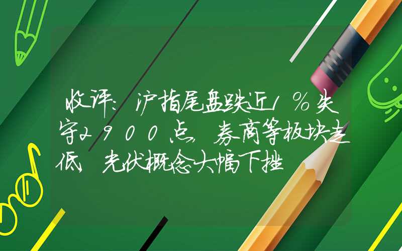 收评：沪指尾盘跌近1%失守2900点，券商等板块走低，光伏概念大幅下挫