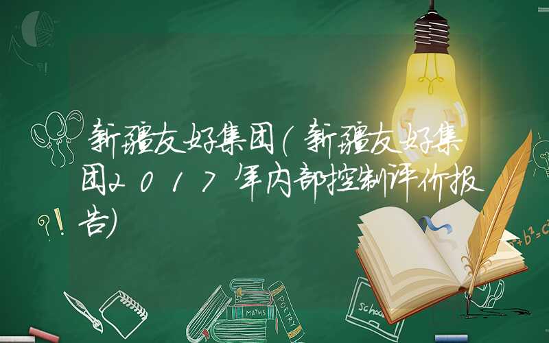 新疆友好集团（新疆友好集团2017年内部控制评价报告）