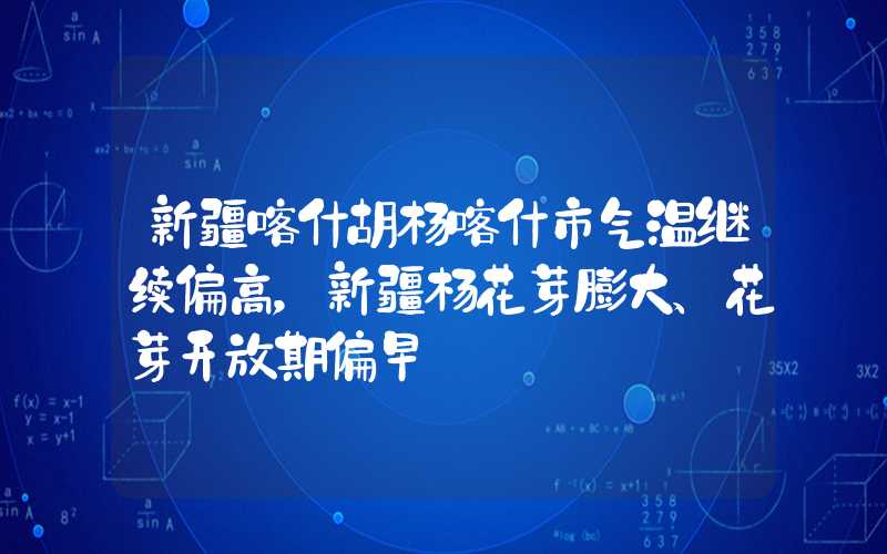 新疆喀什胡杨喀什市气温继续偏高，新疆杨花芽膨大、花芽开放期偏早