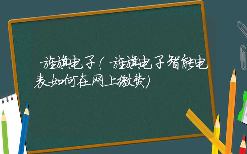 旌旗电子（旌旗电子智能电表如何在网上缴费）