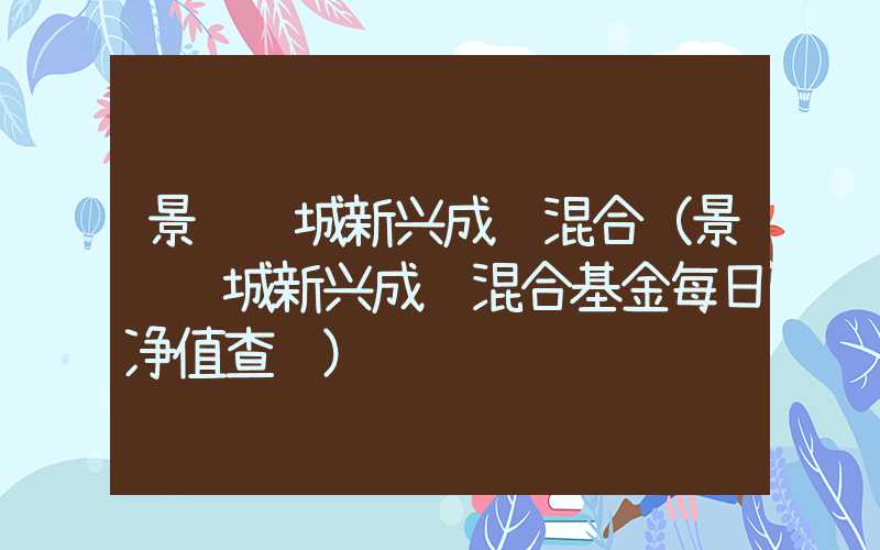 景顺长城新兴成长混合（景顺长城新兴成长混合基金每日净值查询）