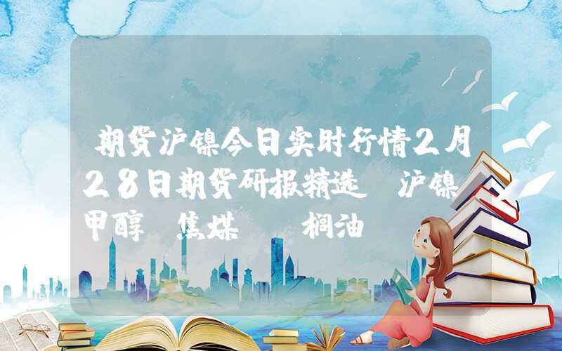 期货沪镍今日实时行情2月28日期货研报精选：沪镍、甲醇、焦煤、棕榈油