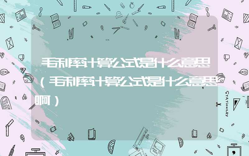 毛利率计算公式是什么意思（毛利率计算公式是什么意思啊）