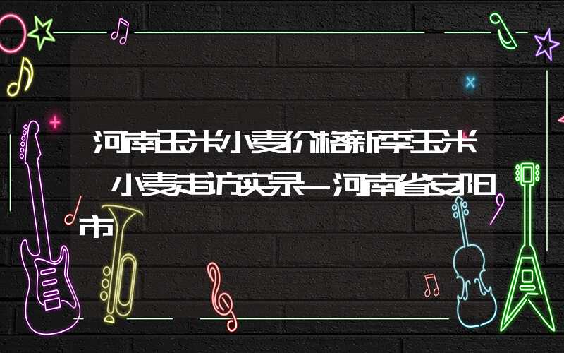 河南玉米小麦价格新季玉米、小麦走访实录-河南省安阳市