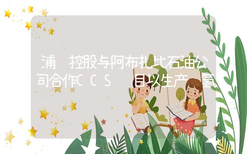 浦项控股与阿布扎比石油公司合作CCS项目以生产蓝氢