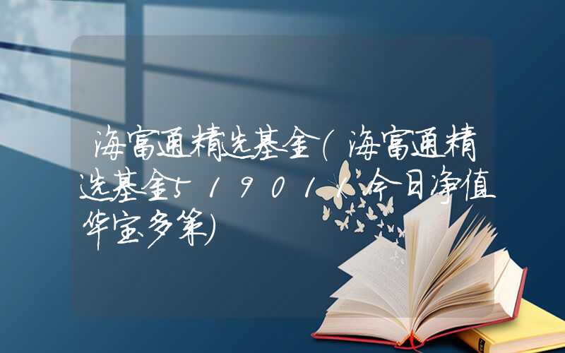 海富通精选基金（海富通精选基金519011今日净值华宝多策）