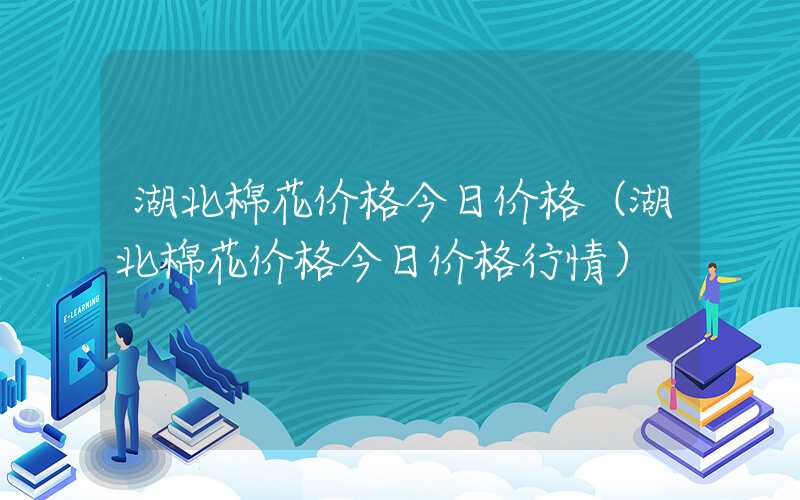 湖北棉花价格今日价格（湖北棉花价格今日价格行情）