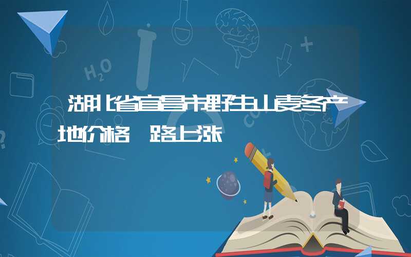 湖北省宜昌市野生山麦冬产地价格一路上涨