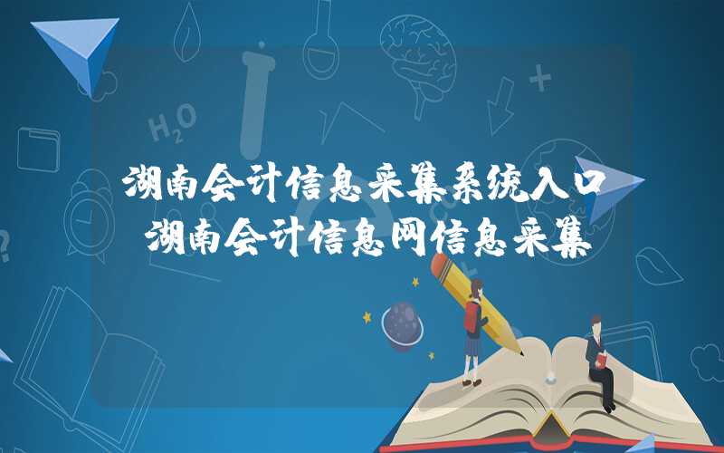 湖南会计信息采集系统入口（湖南会计信息网信息采集）