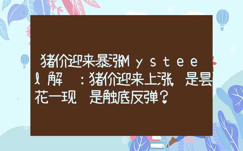 猪价迎来暴涨Mysteel解读：猪价迎来上涨，是昙花一现还是触底反弹？