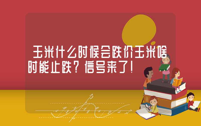 玉米什么时候会跌价玉米啥时能止跌？信号来了！