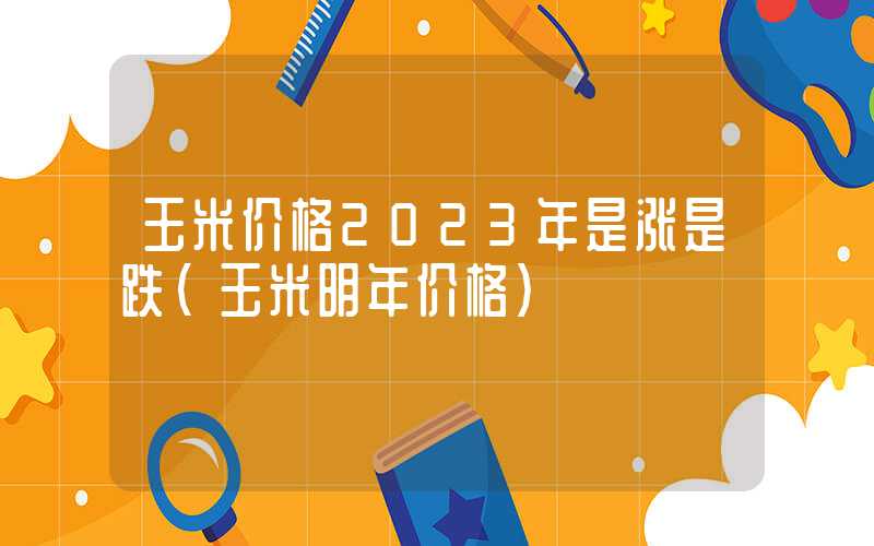 玉米价格2023年是涨是跌（玉米明年价格）