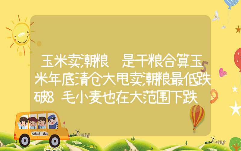 玉米卖潮粮还是干粮合算玉米年底清仓大甩卖潮粮最低跌破8毛小麦也在大范围下跌