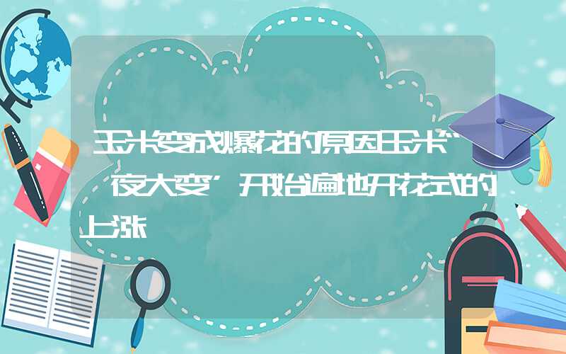 玉米变成爆花的原因玉米“一夜大变”开始遍地开花式的上涨