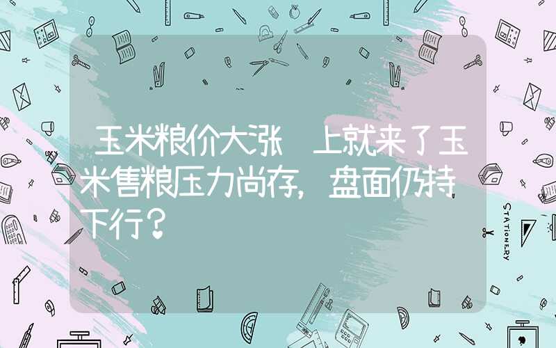 玉米粮价大涨马上就来了玉米售粮压力尚存，盘面仍持续下行？