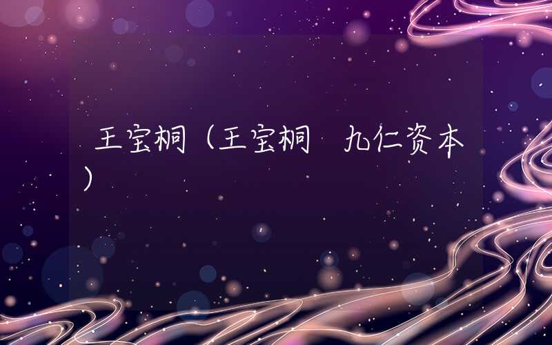 王宝桐（王宝桐 九仁资本）