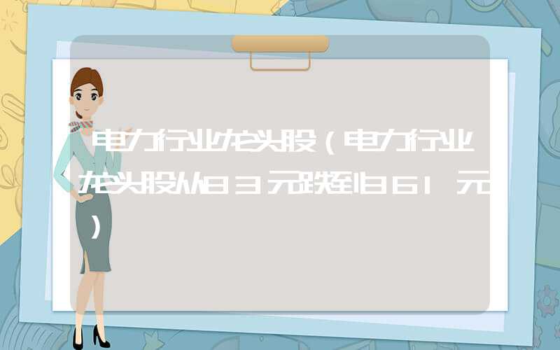 电力行业龙头股（电力行业龙头股从83元跌到361元）