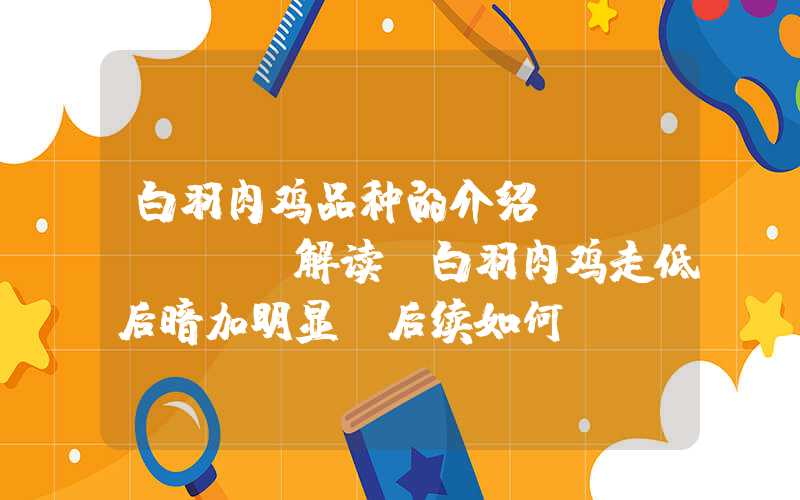 白羽肉鸡品种的介绍Mysteel解读：白羽肉鸡走低后暗加明显，后续如何？