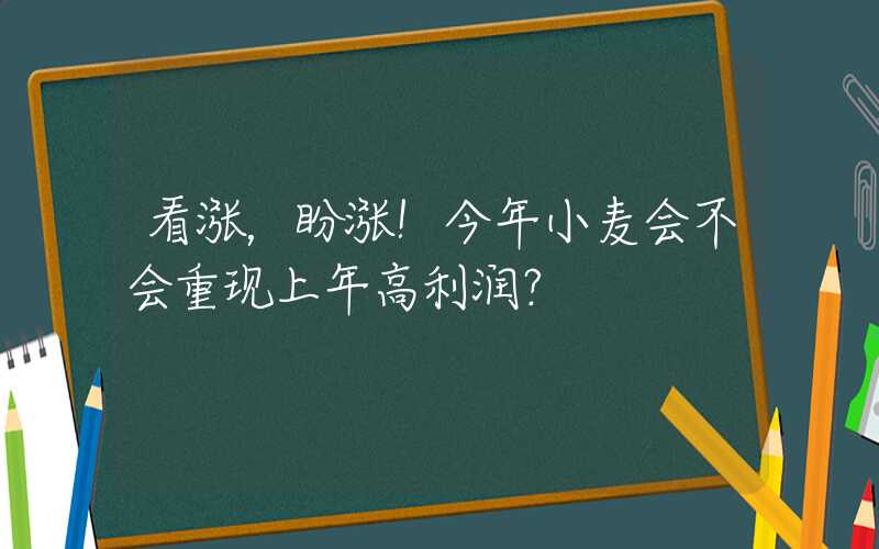 看涨，盼涨！今年小麦会不会重现上年高利润？