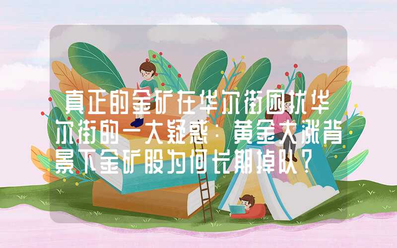 真正的金矿在华尔街困扰华尔街的一大疑惑：黄金大涨背景下金矿股为何长期掉队？