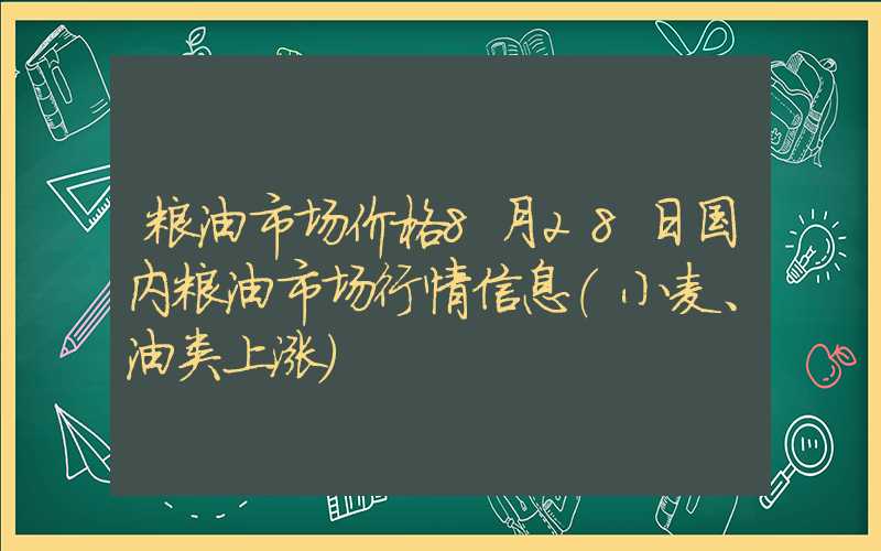 粮油市场价格8月28日国内粮油市场行情信息（小麦、油类上涨）