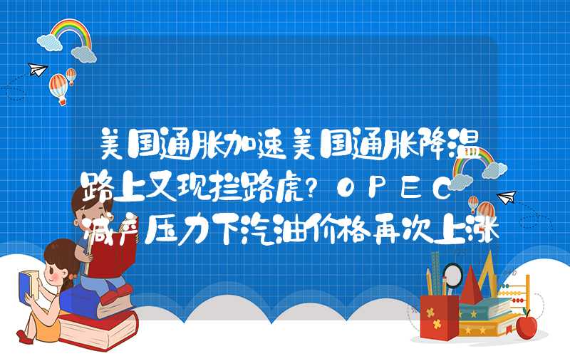 美国通胀加速美国通胀降温路上又现拦路虎？OPEC+减产压力下汽油价格再次上涨