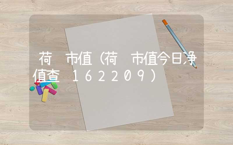 荷银市值（荷银市值今日净值查询162209）