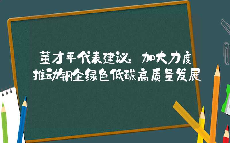 董才平代表建议：加大力度推动钢企绿色低碳高质量发展