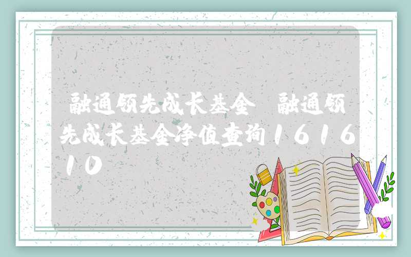 融通领先成长基金（融通领先成长基金净值查询161610）