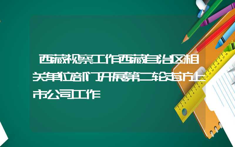 西藏视察工作西藏自治区相关单位部门开展第二轮走访上市公司工作