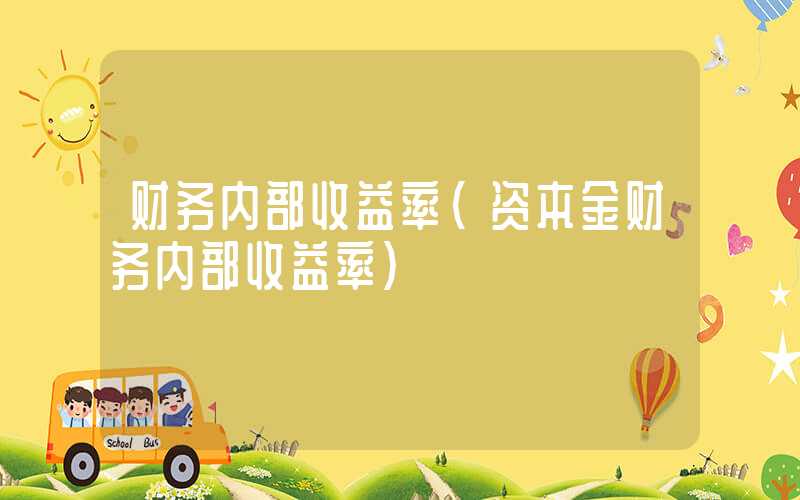 财务内部收益率（资本金财务内部收益率）