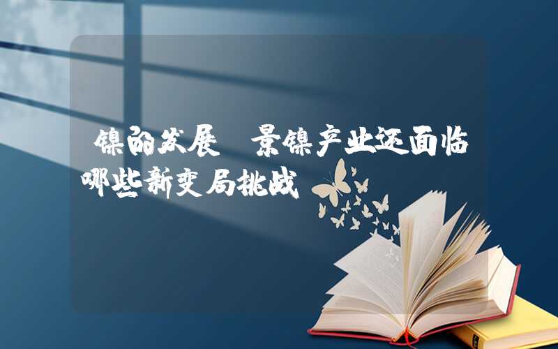 镍的发展前景镍产业还面临哪些新变局挑战？