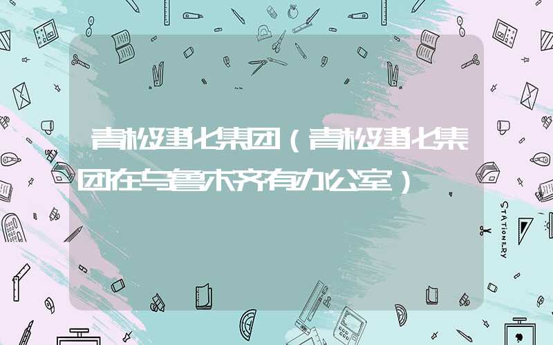 青松建化集团（青松建化集团在乌鲁木齐有办公室）