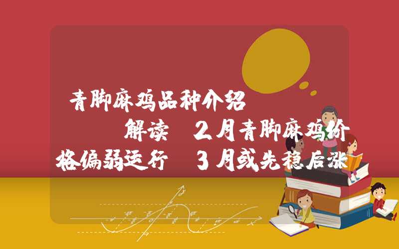 青脚麻鸡品种介绍Mysteel解读：2月青脚麻鸡价格偏弱运行，3月或先稳后涨