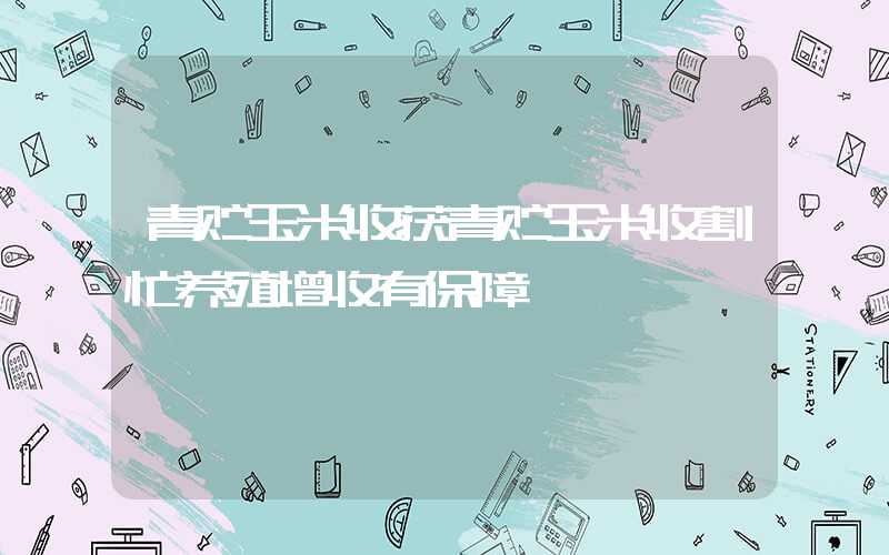 青贮玉米收获青贮玉米收割忙养殖增收有保障