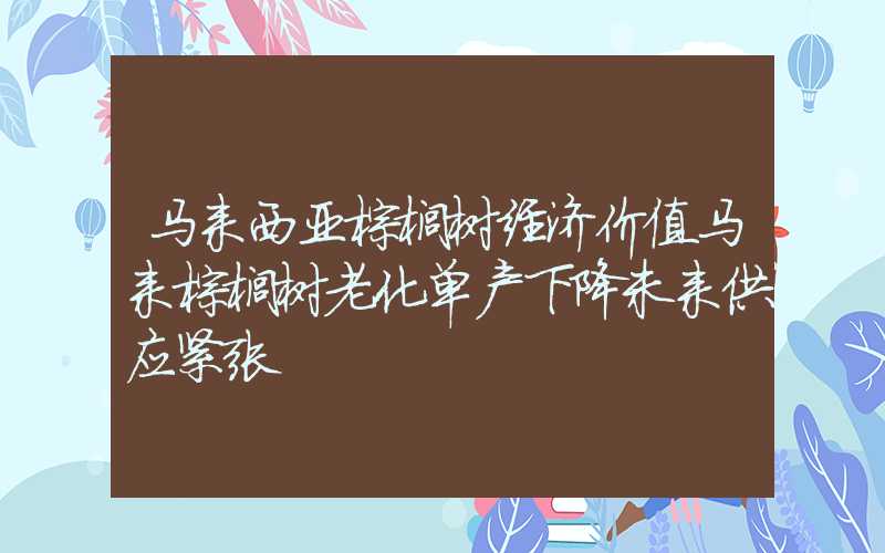 马来西亚棕榈树经济价值马来棕榈树老化单产下降未来供应紧张