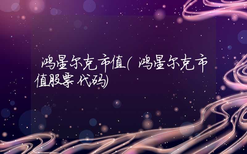 鸿星尔克市值（鸿星尔克市值股票代码）