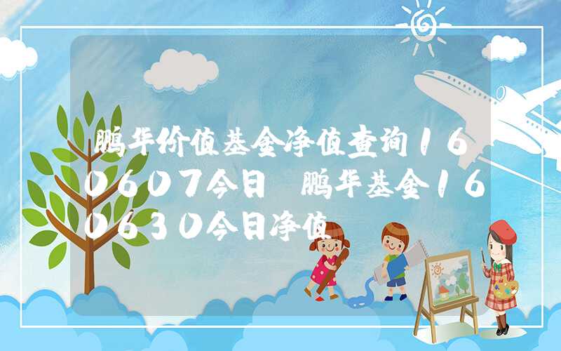 鹏华价值基金净值查询160607今日（鹏华基金160630今日净值）