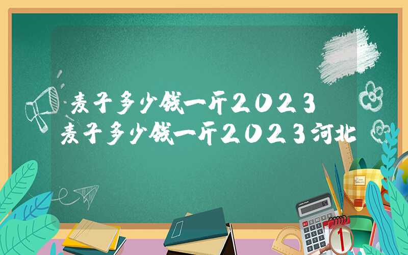 麦子多少钱一斤2023（麦子多少钱一斤2023河北）