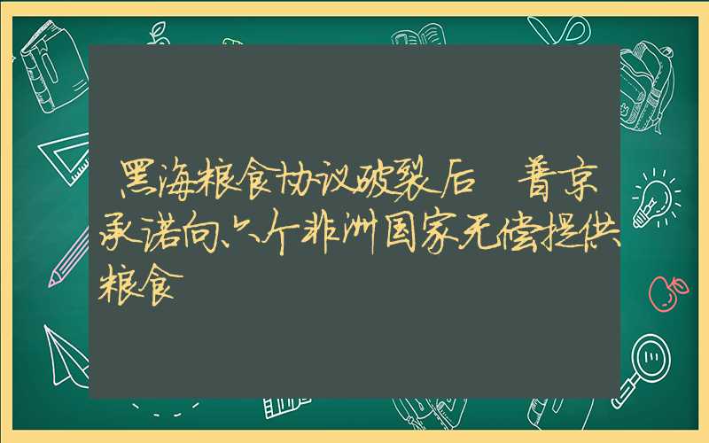 黑海粮食协议破裂后 普京承诺向六个非洲国家无偿提供粮食